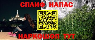 мяу мяу мука Аргун