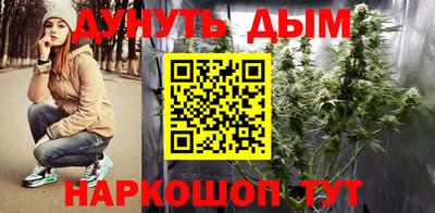 мяу мяу мука Аргун