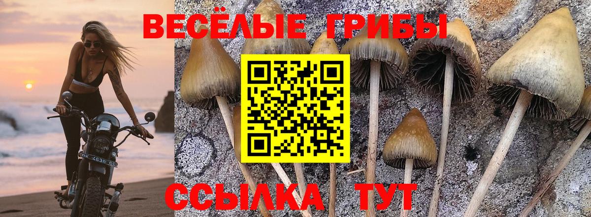 Асбест  Галлюциногенные грибы прущие грибы  купить закладку  Вход с VPN 